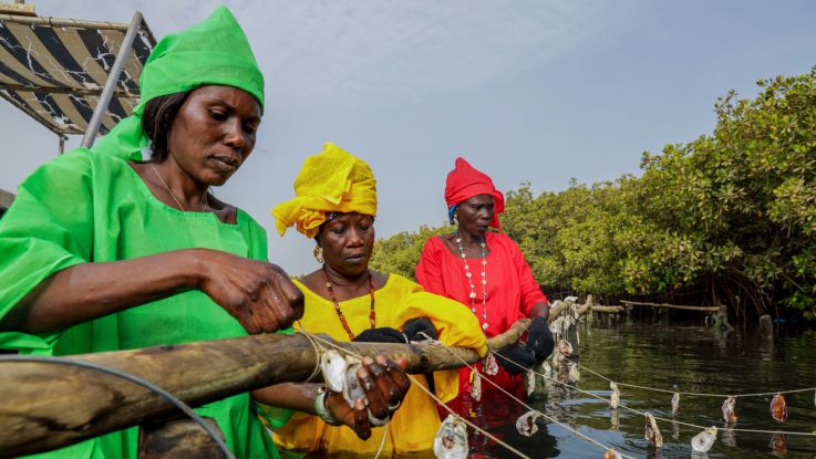 Amy (in yellow), with the local women's group, who farm oysters and lead climate adaptation on Djirnda Island.