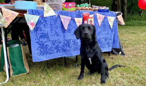 Bodi, the family dog supports Anouska's bake sale.