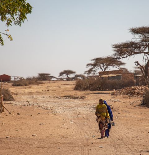 14 million people in the Horn of Africa are at risk of hunger, following late rains and rising temperatures.