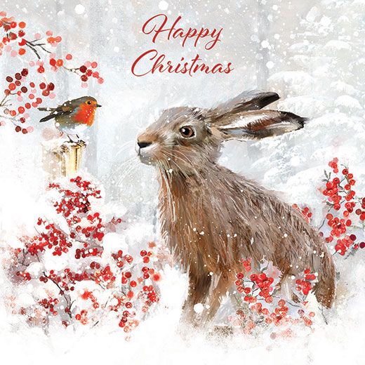 Robin and the hare charity christmas cards