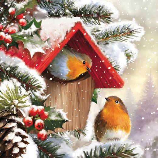 Robin house duo charity christmas cards