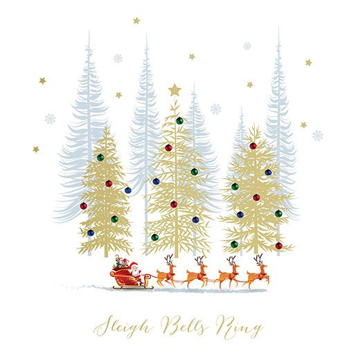 Santas festive sleigh charity christmas cards