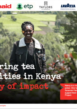 Empowering tea communities in Kenya report image