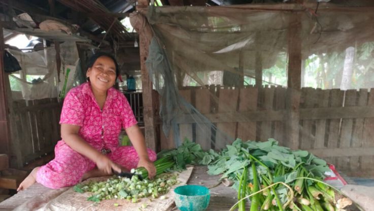  Sopheap, 55 years old, is a married farmer and has two children