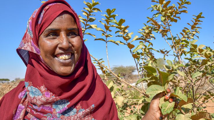 Saynab Dahir Mohamoud, chairperson for the Ceel-Hume women’s group in Ceel-Hume, Somaliland