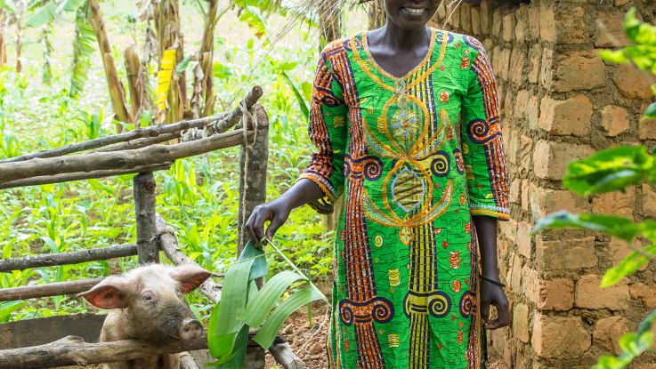 The little pig that can