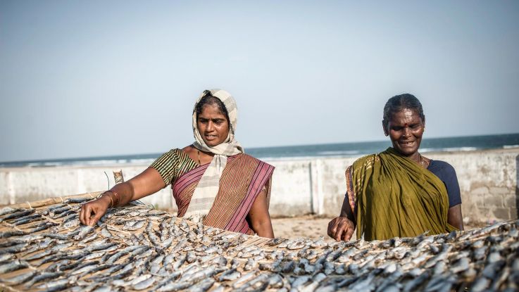 Fishing community In Andhra Pradesh, India