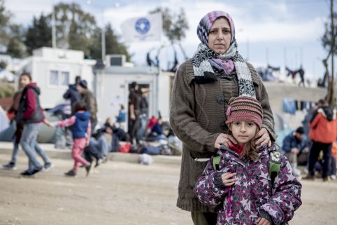 Refugee & displacement crises